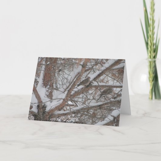 Duiven in Snowy Pine Kaart (Achterkant)