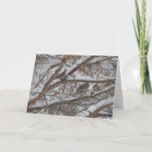 Duiven in Snowy Pine Kaart (Voorkant)