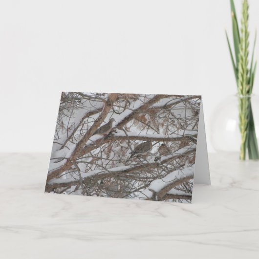 Duiven in Snowy Pine Kaart (Voorkant)