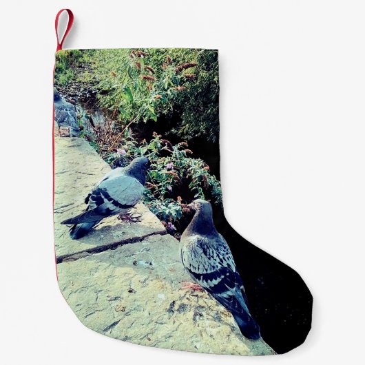 Duiven Kleine Kerstsok (Voorkant)