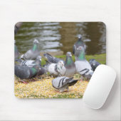 duiven muismat (Met muis)