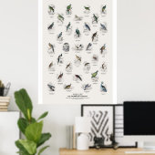 Duiven - Naturalist's Library Poster (Thuiskantoor)