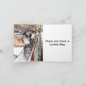 Duiven op de brug in Hythe Kaart (Binnen)