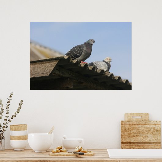 Duiven op het dak. poster (Keuken)