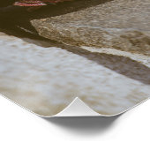 duiven perfect poster (Hoek)