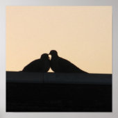 duiven poster (Voorkant)