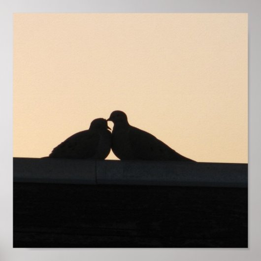 duiven poster (Voorkant)