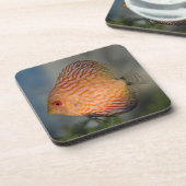 Duiven Steen Discus Set van 6 Onderzetters (Linkerzijde)