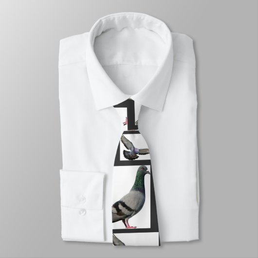 duiven stropdas (Gebonden)