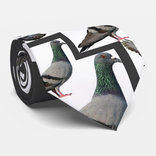 duiven stropdas (Opgerold)