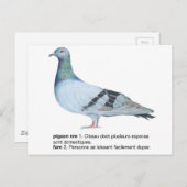 Duiven van NuancesdePigeon T-shirts Briefkaart (Voorkant / Achterkant)