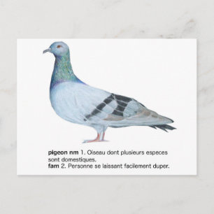 Duiven van NuancesdePigeon T-shirts Briefkaart