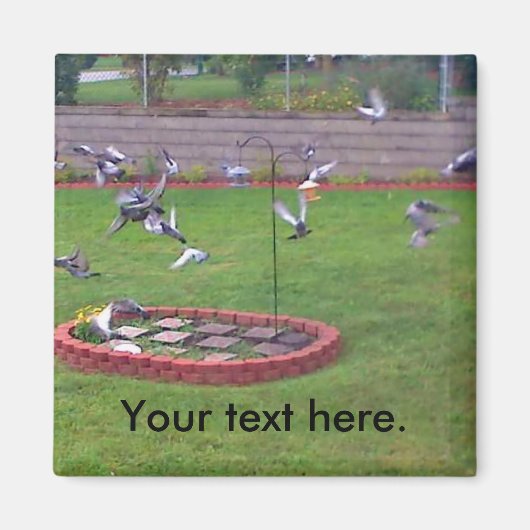 Duiven Vliegende Landing Vogel Feeder Yard Magnete Magneet (Voorkant)