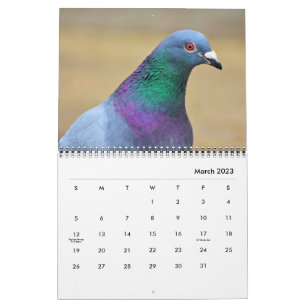 Duiven Vredesduiven Elegante Mooie Vogelfoto's Kalender