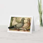  duiven Wenskaart Bedankkaart (Voorkant)