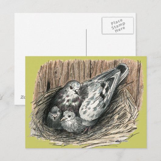 duivenfamilie briefkaart (Voorkant / Achterkant)