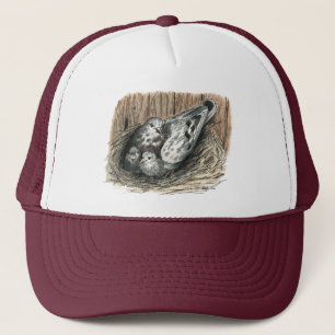 duivenfamilie trucker pet