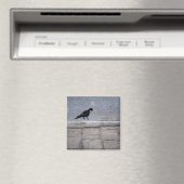 Duivengraffiti magneet (Insitu (Vaatwasser))