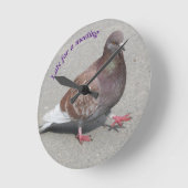 duivenklok ronde klok (Hoek)