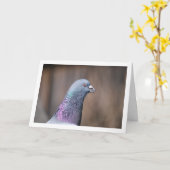 Duivenkopportret Kaart (Gele Bloem)