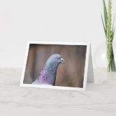 Duivenkopportret Kaart (Voorkant)