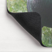 Duivenmuismat Muismat (Hoek)