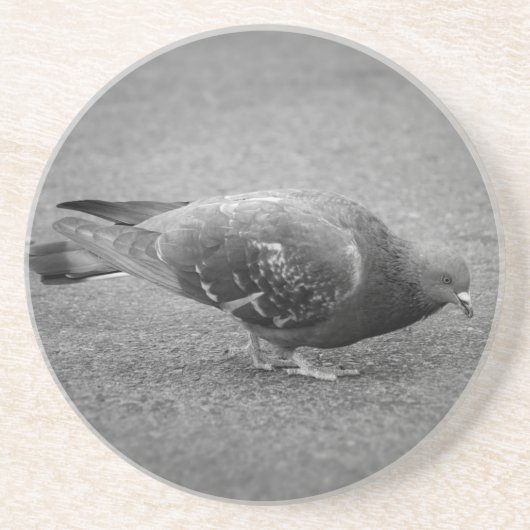 DuivenOnderzetter Zandsteen Onderzetter (Voorkant)