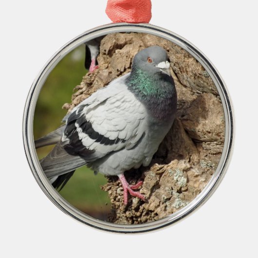 DuivenOrnament Metalen Ornament (Voorkant)