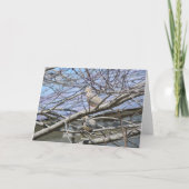 Duivenpaar tussen de takken, GELUKKIG JUBILEUM Kaart (Achterkant)