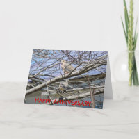 Duivenpaar tussen de takken, GELUKKIG JUBILEUM