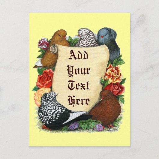 Duivenrol Briefkaart (Voorkant)