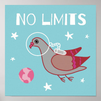 Duivenruimteverkenner Poster