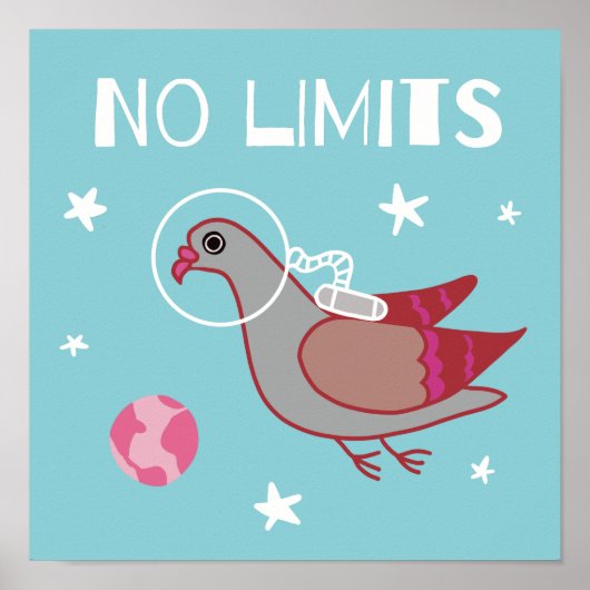 Duivenruimteverkenner Poster (Voorkant)