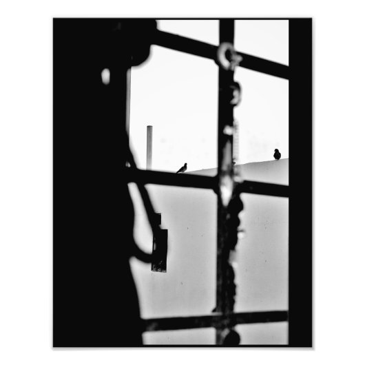 DuivenUitzicht Foto Afdruk (Voorkant)