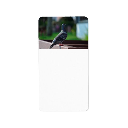 duivenvederdier etiket (Voorkant)