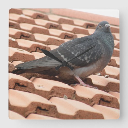 Duivenwandklok Vierkante Klok (Voorkant)