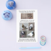 Duivenwond Schade Redding  Verticaal Flyer (Enkel)