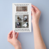 Duivenwond Schade Redding  Verticaal Flyer (Hand)