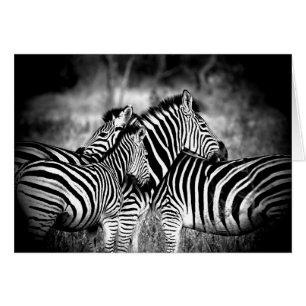 Duizelaar van het denken van de Zebra van je eigen