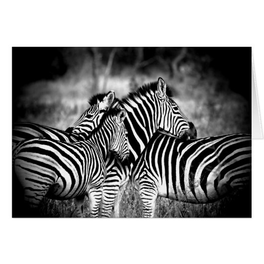 Duizelaar van het denken van de Zebra van je eigen (Voorkant Horizontaal)