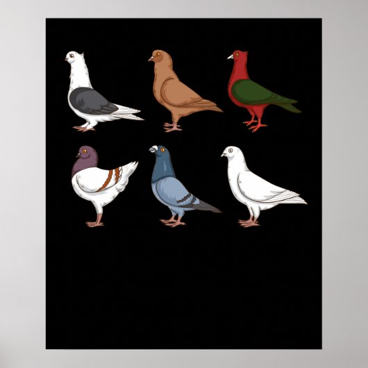Duizelbrekende Mannen Pigeon Racing Pigeon Poster (Voorkant)
