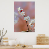Duizelend Japans prijsbloesems Poster (Keuken)