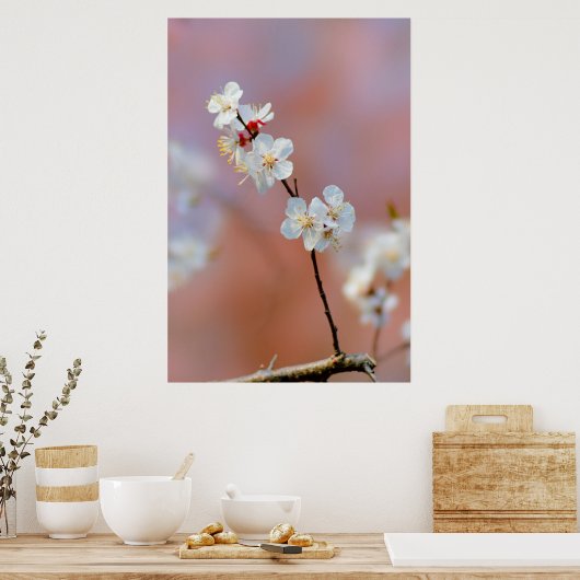 Duizelend Japans prijsbloesems Poster (Keuken)
