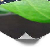 Duizelend Poster van Butterfly (Hoek)