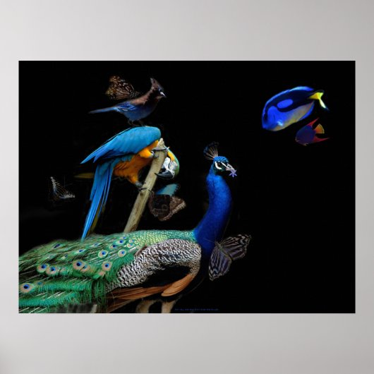 Duizelende ademhaling poster (Voorkant)