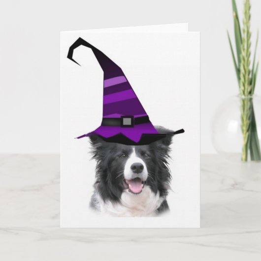 Duizelige Dogz~Border Collie Card~Halloween~Witch Kaart (Voorkant)