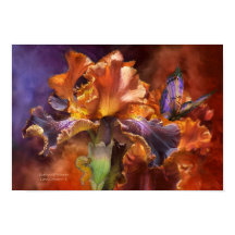 Duizeligheid van Miracles Poster/afdrukken