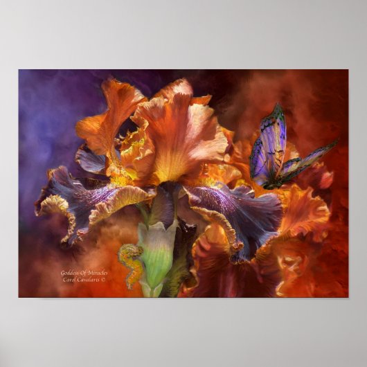 Duizeligheid van Miracles Poster/afdrukken Poster (Voorkant)