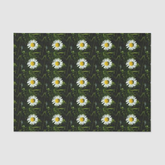 Duizelingwekkend Daisy Tissue Paper Tissuepapier (Voorkant)