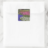 Duizeltuin van druivesuiker, hyacinth en tulpen, vierkante sticker (Tas)